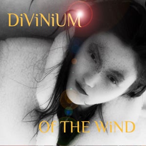 Artwork for track: Of THE WiND by DiViNiUM