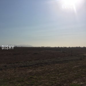 Artwork for track: Dishy by EVOL DAN