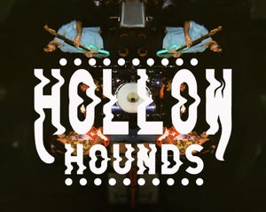 Artwork for track: Animals by Hollow Hounds