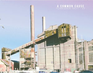 Artwork for track: Whitewash by A Common Cause