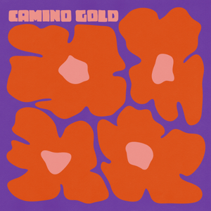 Artwork for track: Moving Out  by Camino Gold