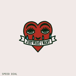 Artwork for track: Just What I Want by Speed Dial