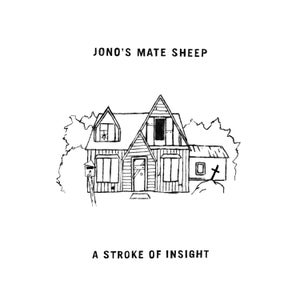 Artwork for track: Chaos by Jono's Mate Sheep
