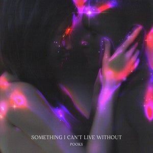 Artwork for track: Something I Can't Live Without by Pooks