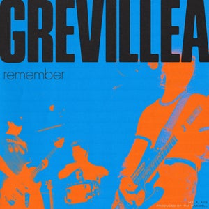 Artwork for track: Remember  by Grevillea