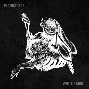 Artwork for track: White Rabbit by Planisphere