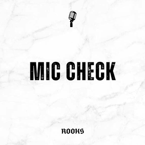 Artwork for track: Mic Check by Rooks