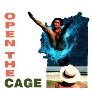 Artwork for track: Open The Cage by Passion Cactus