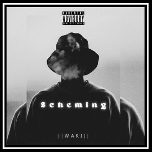 Artwork for track: Scheming by WAKI