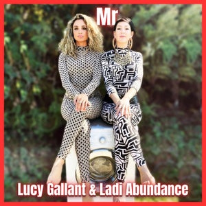 Artwork for track: Mr.  by Lucy Gallant