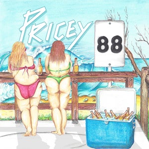 Artwork for track: 88 by Pricey