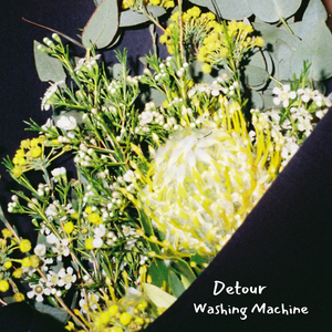 Artwork for track: Washing Machine by Detour