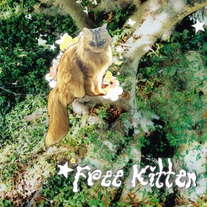 Artwork for track: Free Kitten by VOIID