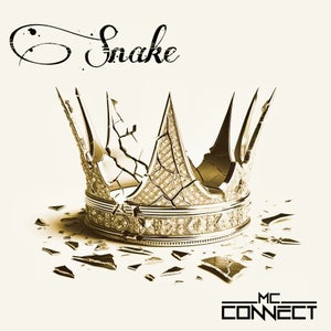 Artwork for track: Snake by MC CONNECT