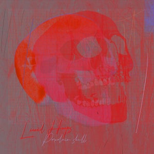 Artwork for track: Porcelain Skull by Lucid Hoops