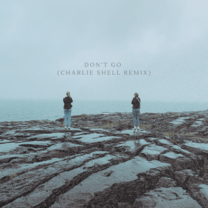 Artwork for track: Frankie Allan - Don't Go (Charlie Shell Remix) by Charlie Shell