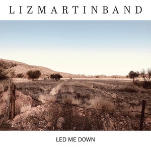 Artwork for track: Now That It's Too Late by Liz Martin Band