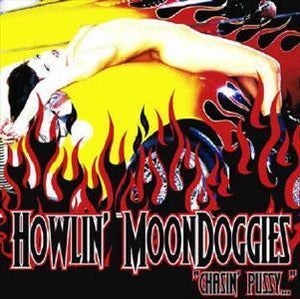 Artwork for track: Drivein Show by The Howlin MoonDoggies