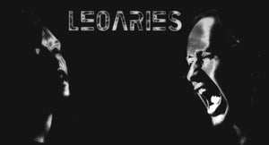 Artwork for track: Never Too Late by LeoAries