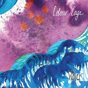 Artwork for track: Silver Fox by Colour Cage