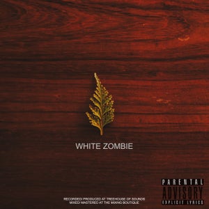 Artwork for track: White Zombie by Bastian Bucks