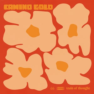 Artwork for track: Train Of Thought by Camino Gold
