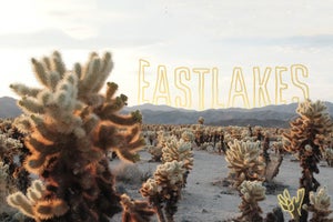 Artwork for track: Kick the Cord by eastlakes