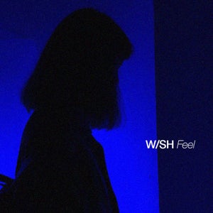 Artwork for track: Break your heart by WISH