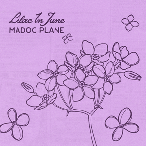 Artwork for track: Lilac In June by Madoc Plane