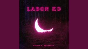 Artwork for track: Labon Ko (Cover) by Dipesh K. Shrestha
