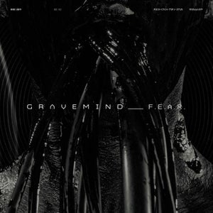 Artwork for track: F.E.A.R. (ft. Jamie Hails by Gravemind