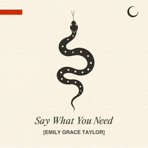 Artwork for track: Say What You Need by Emily Grace Taylor