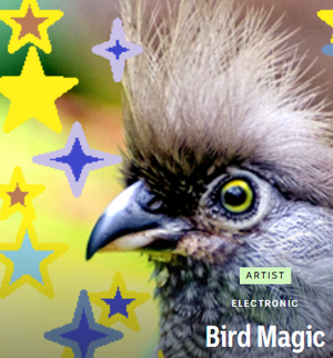 Artwork for track: Right Here #DIYSupergroup by Bird Magic
