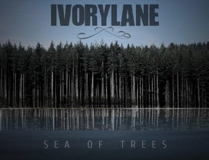 Artwork for track: Sea of Trees by Ivorylane