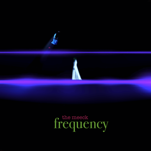 Artwork for track: Frequency by The Meeck