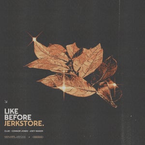 Artwork for track: Like Before by JERKSTORE.