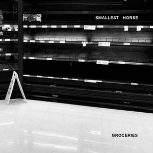 Artwork for track: Groceries by Smallest Horse