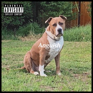 Artwork for track: Anguish by FKA Franky