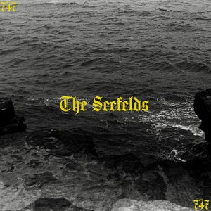 Artwork for track: 747 by The Seefelds