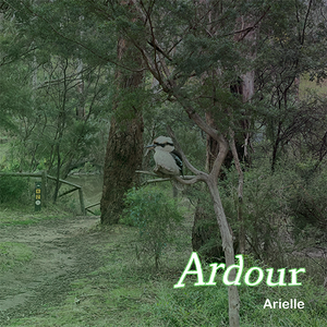 Artwork for track: Ardour by Arielle Ross