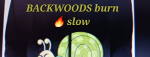 Artwork for track: BACKWOODS BURN SLOW by Justiz