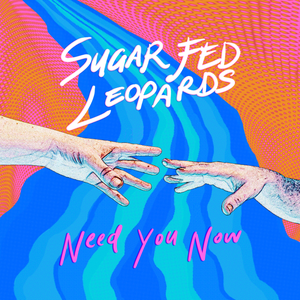 Artwork for track: Need You Now by Sugar Fed Leopards