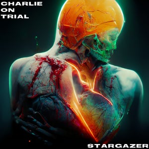 Artwork for track: STARGAZER by Charlie on Trial