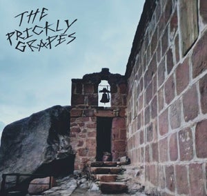 Artwork for track: Temple by The Prickly Grapes