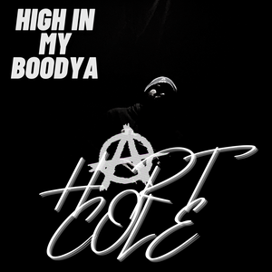 Artwork for track: High In My Boodya (Country) by HARTCOLE