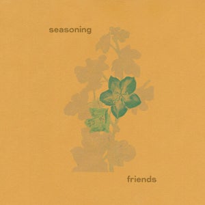 Artwork for track: Friends by Seasoning