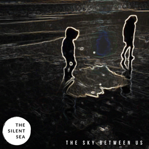 Artwork for track: Not the same by The Silent Sea