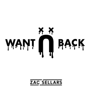 Artwork for track: Want U Back by Zac Sellars