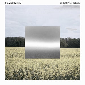 Artwork for track: Wishing Well by Fevermind