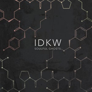 Artwork for track: IDKW by Soulful Ghosts